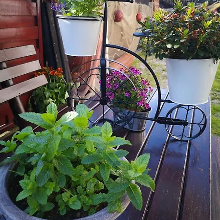 Проживание в семье U Rybaka Ястарня