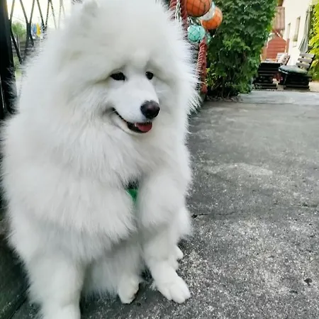 Проживание в семье U Rybaka Ястарня