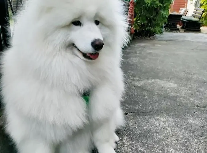 منزل للإقامة U Rybaka ياستارنيا