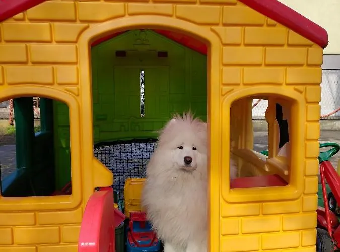 منزل للإقامة U Rybaka