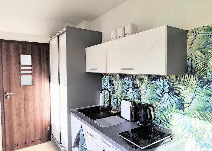 U Rybaka منزل للإقامة *